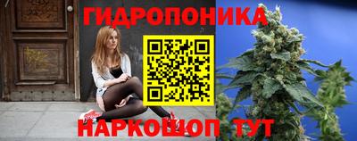 гидропоника Тверь