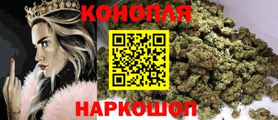 гидропоника Тверь