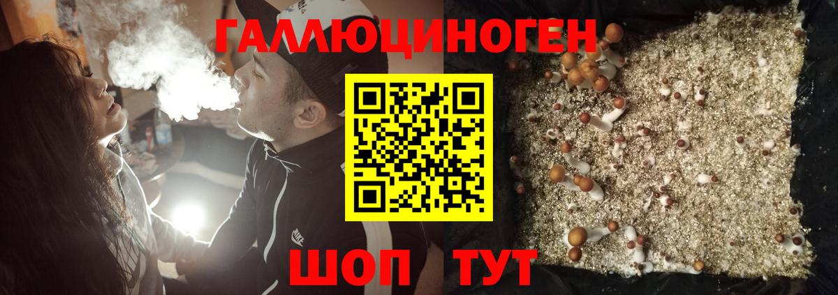 Галлюциногенные грибы Psilocybine cubensis Павловский Посад