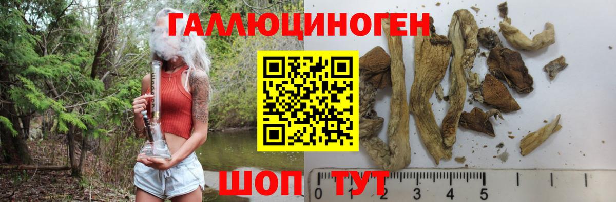 Павловский Посад  где можно купить наркотик  Вход с VPN  Псилоцибиновые грибы мухоморы 